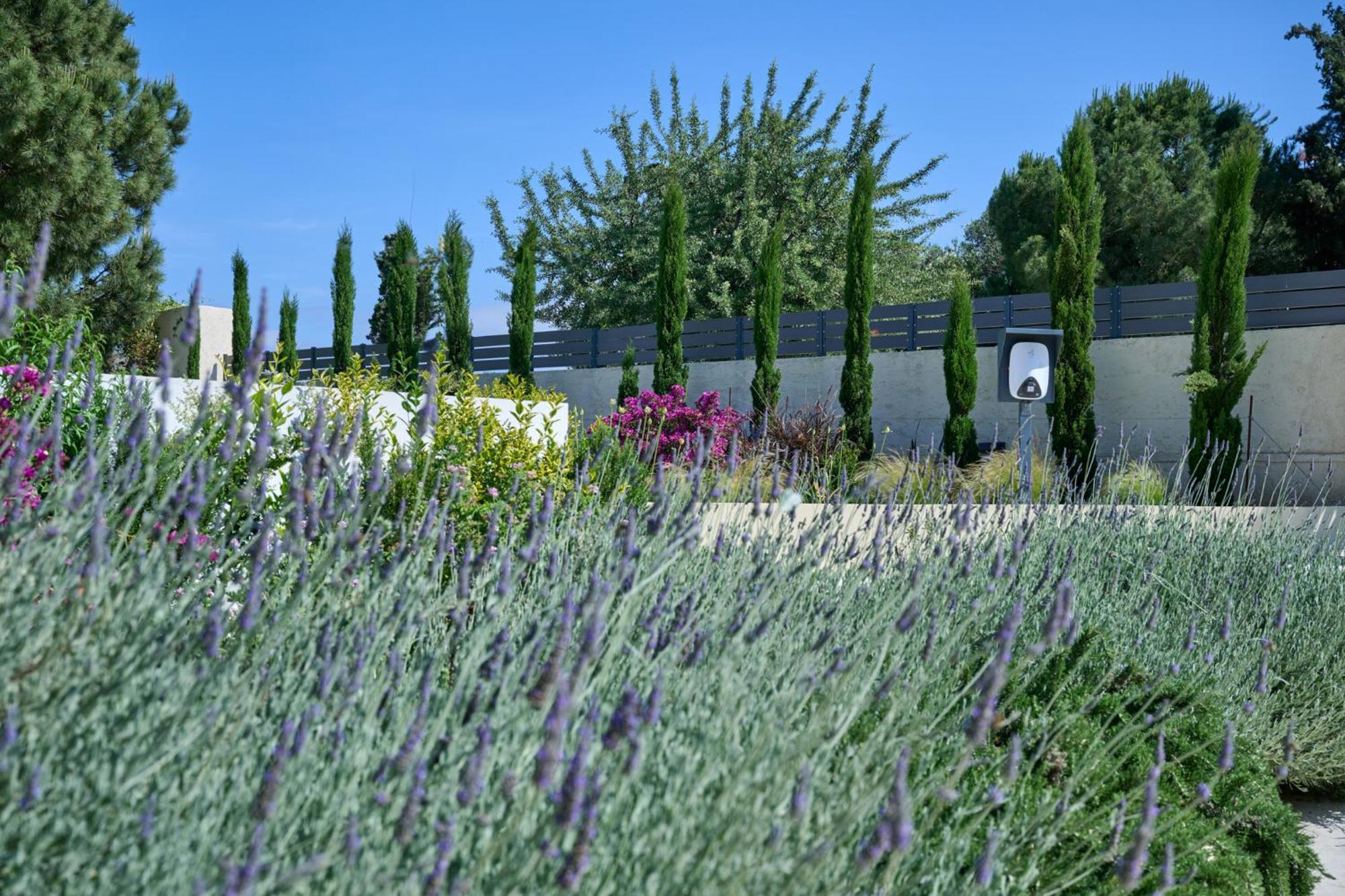 Kyamon Estate Luxury Villa Hanya Dış mekan fotoğraf